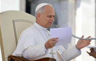 El Papa León XIV durante su catequesis de este sábado con motivo del Jubileo de los Operadores de Justicia. Crédito: Vatican Media.