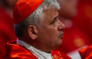 Cardenal Konrad Krajewski. Cru00e9dito: Daniel Ibu00e1u00f1ez/ACI Prensa 