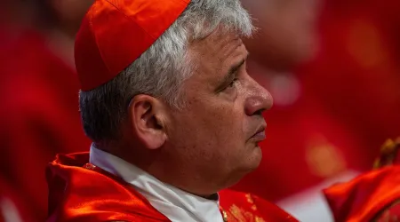 Cardenal del Vaticano viajará de nuevo a Ucrania en nombre del Papa Francisco