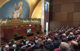 La Pontificia Universidad Lateranense es conocida como la "Universidad del Papa" debido a su estrecho vínculo con la Santa Sede y su rol en la formación de líderes de la Iglesia Crédito: Cortesía Universidad Lateranense