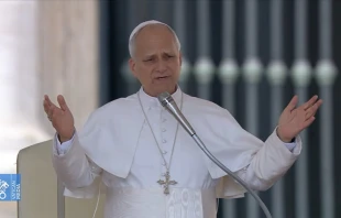 El Papa León XIV, al inicio de la Audiencia General celebrada el 17 de septiembre de 2025. Crédito: Vatican Media.