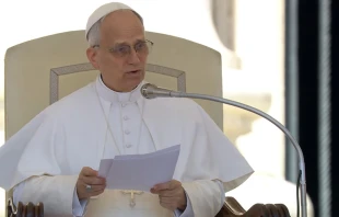 León XIV predica sobre la parábola del buen samaritano en la Audiencia General. Crédito: Vatican Media.