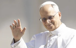 El Papa León XIV en el Vaticano. Crédito: Daniel Ibáñez / EWTN News.