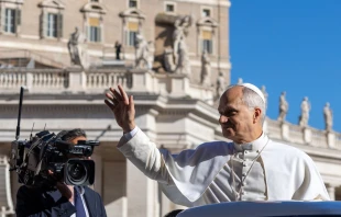 El Papa León XIV. Crédito: Daniel Ibáñez/EWTN.