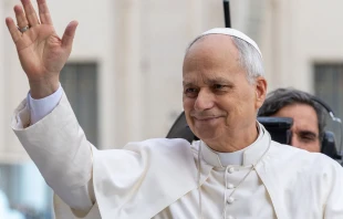 El Papa León XIV en el Vaticano. Crédito: Daniel Ibáñez / EWTN News.