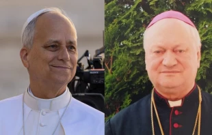 El Papa León XIV y el fallecido Cardenal Lucian Mureşan Crédito 1: Daniel Ibáñez - EWTN News. Crédito 2: Mihai Andrei (CC BY-SA 4.0).