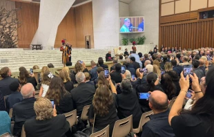 Encuentro del Papa León XIV con participantes del 26° Congreso Mariológico Mariano Internacional, el 6 de septiembre en el Aula Pablo VI del Vaticano. Crédito: Cortesía del P. Eduardo Chávez.