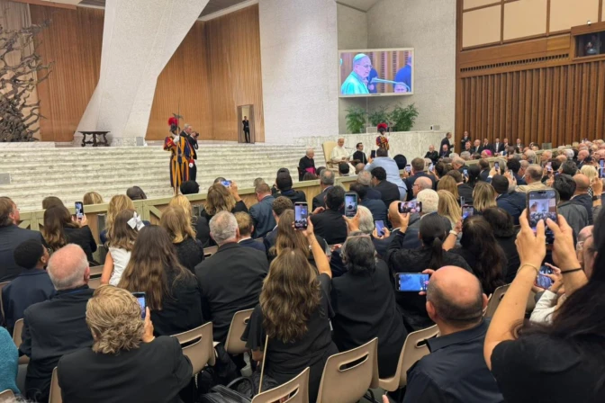 Encuentro del Papa León XIV con participantes de congreso mariológico