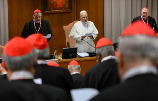 El Papa León XIV se dirige a los cardenales durante el consistorio extraordinario el 7 de enero de 2026 en la Ciudad del Vaticano. Crédito: Vatican Media.