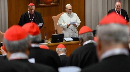 El Papa León XIV se dirige a los cardenales