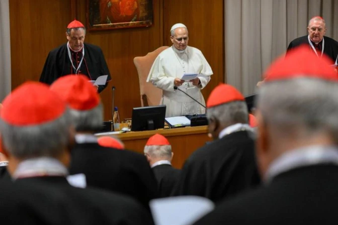 El Papa León XIV se dirige a los cardenales