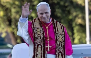 El Papa León XIV frente a San Juan de Letrán el 25 de mayo de 2025. Crédito: Daniel Ibanez / EWTN News.