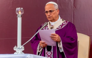 El Papa León XIV pronuncia su homilía en la Misa por los fieles difuntos en Roma. Crédito: Daniel Ibáñez / EWTN News.