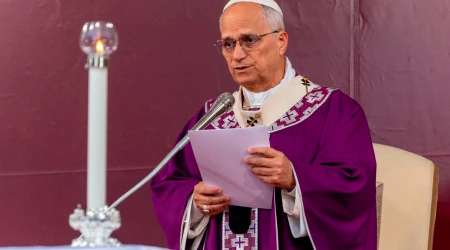 El Papa León XIV pronuncia su homilía en la Misa por los fieles difuntos en Roma.