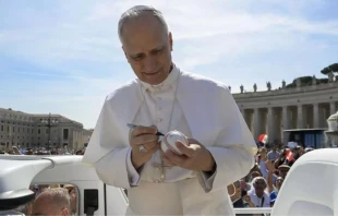 El Papa León XIV firma una pelota de béisbol en su audiencia general del 4 de junio de 2025. El Papa es fanático de los Chicago White Sox. Crédito: Simone Risoluti / Vatican Media.