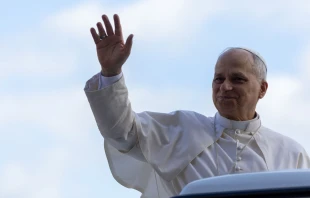 El Papa León XIV en la audiencia general que presidió en el Vaticano el 25 de octubre. Crédito: Daniel Ibáñez / EWTN News.