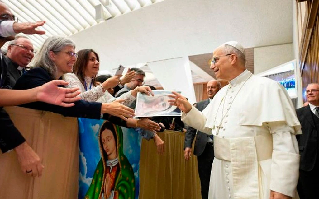 El Papa León XIV saluda a participantes del 26° congreso de la Academia Mariana en el Aula Pablo VI.?w=200&h=150