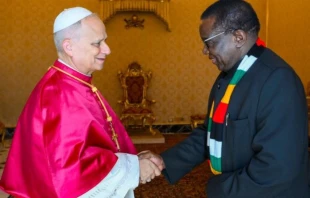 Papa León XIV con el presidente de Zimbabue Crédito: Vatican Media