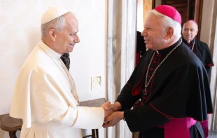 Mons. Ramón Castro Castro saluda al Papa León XIV en la audiencia que sostuvo el Santo Padre con el Consejo de Presidencia de la Conferencia del Episcopado Mexicano, el 18 de septiembre de 2025. Crédito: Vatican Media.