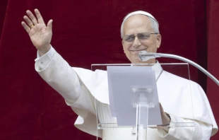 El Papa León XIV en el Vaticano. Crédito: Daniel Ibáñez / EWTN News.
