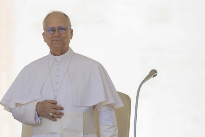 Papa León XIV en el Vaticano. 29052025