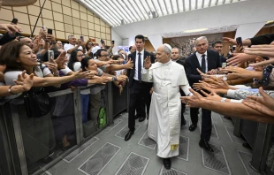 La revista Time nombró al Papa León XIV (en la foto en el Aula Pablo VI) como uno de los 100 pensadores más influyentes en materia de inteligencia artificial el 28 de agosto de 2025. Crédito: Vatican Media.
