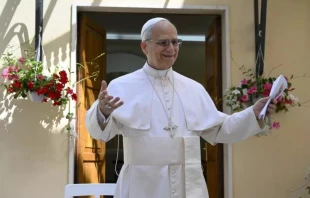 El Papa León sonríe mientras llega para una visita al hogar de ancianos Santa Marta en Castel Gandolfo (Italia), el 21 de julio de 2015. Crédito: Simone Risoluti / Vatican Media.