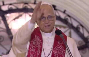 Bendición del Santo Padre durante el encuentro con jóvenes Crédito: Captura de pantalla / EWTN