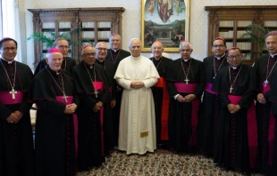 Delegación de obispos del Perú junto al Papa León XIV, el 30 de junio de 2025. Crédito: CEP