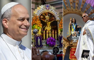Desde su elección como Papa, León XIV ha demostrado una especial cercanía hacia ciertas devociones. Crédito: Daniel Ibáñez - EWTN News, Shutterstock y Milagro Eucarístico Perú - 1649