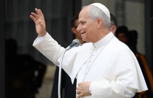 León XIV convoca una jornada de ayuno y oración por la paz. Crédito: Vatican Media