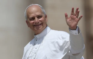 El Papa León XIV saluda a los fieles después de celebrar la Misa del domingo 15 de junio en la Basílica de San Pedro. Crédito: Marco Iacobucci Epp - Shutterstock