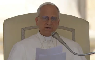 León XIV. imparte su catequesis el 11 de junio de 2025 durante la Audiencia General. Crédito: Vatican Media.