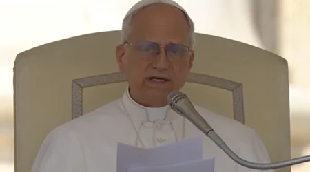 León XIV. imparte su catequesis el 11 de junio de 2025 durante la Audiencia General.