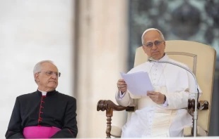 León XIV pronuncia la catequesis en su primera Audiencia General. Crédito: Daniel Ibáñez /EWTN News.