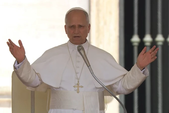 León XIV, durante la Audiencia General del 18 de junio de 2025.