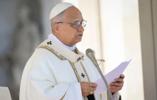 El Papa León XIV pronuncia su homilía en la Misa de la Solemnidad de Todos los Santos este 1 de noviembre. Crédito: Vatican Media