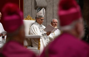 Papa León XIV. Crédito: Vatican Media