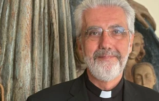 Mons. Luis Marín de San Martín, subsecretario del Sínodo de los Obispos Crédito: Victoria Cardiel / EWT News.