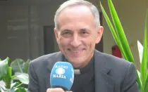 El P. Luis Fernando de Prada, director de Radio María España.