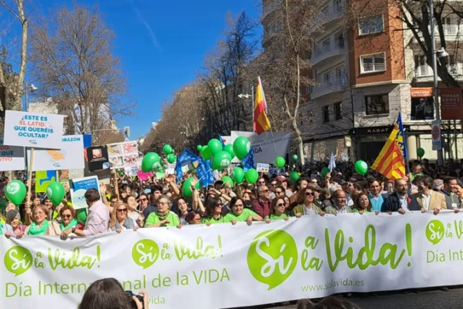 Miles de providas rechazan en Madrid las leyes contra la vida y la naturaleza humanas