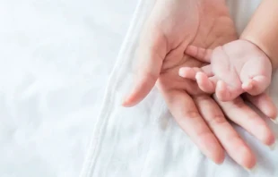 Imagen referencial. Crédito: Shutterstock