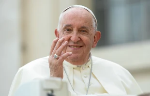 El Papa Francisco aconseja cómo encontrar la paz tras el pecado Crédito: Vatican Media