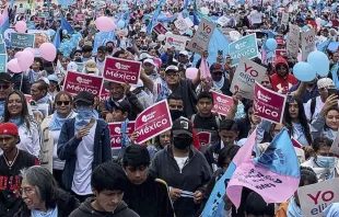 Miles de personas se manifestaron en las principales ciudades de México. Crédito: Marcha a Favor de la Mujer y la Vida