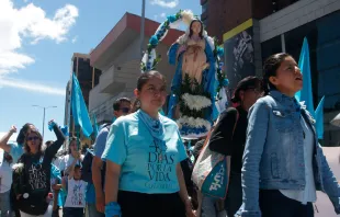 Integrantes de 40 Días por la Vida durante la Marcha por la Vida de 2023 en Bogotá. Crédito: Eduardo Berdejo (ACI)