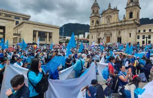 Marcha Nacional por la Vida 2024 en Bogotá. Crédito: Eduardo Berdejo (ACI)