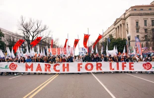 La 52 Marcha por la Vida comienza con la pancarta En las calles de Washington, DC, el 24 de enero de 2025. Crédito: Migi Fabara/EWTN News.