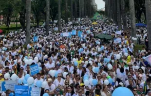 Alrededor de 10 mil personas participaron de la “Caminata por la vida contra el aborto” en Belo Horizonte. Crédito: CitizenGO Brasil.
