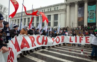 March for Life 2024 en Washington D.C. Crédito: Flickr de American Life League (CC BY-NC 2.0)