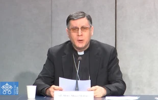 Mons. Marco Mellino, nuevo secretario adjunto del Dicasterio para los Textos Legislativos. Crédito: Vatican Media.